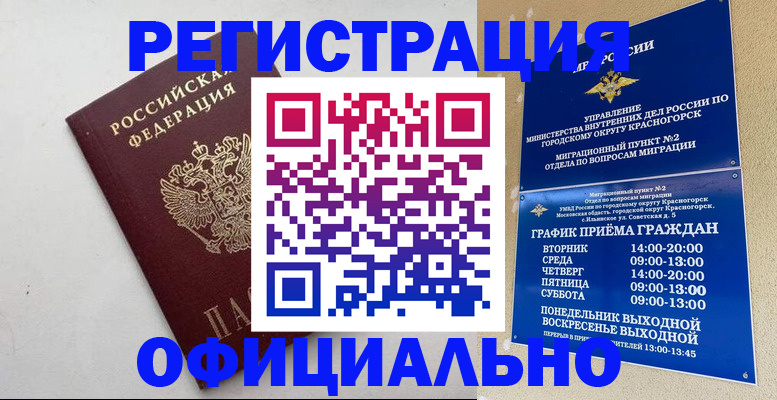 временная регистрация адрес в Щёлково